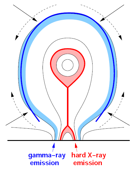 pomoell-image2