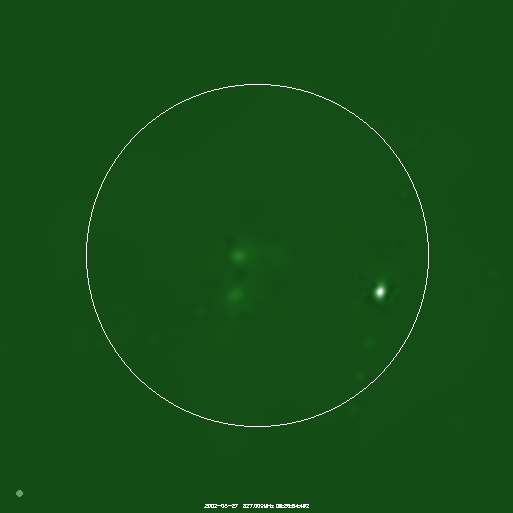 fig2b