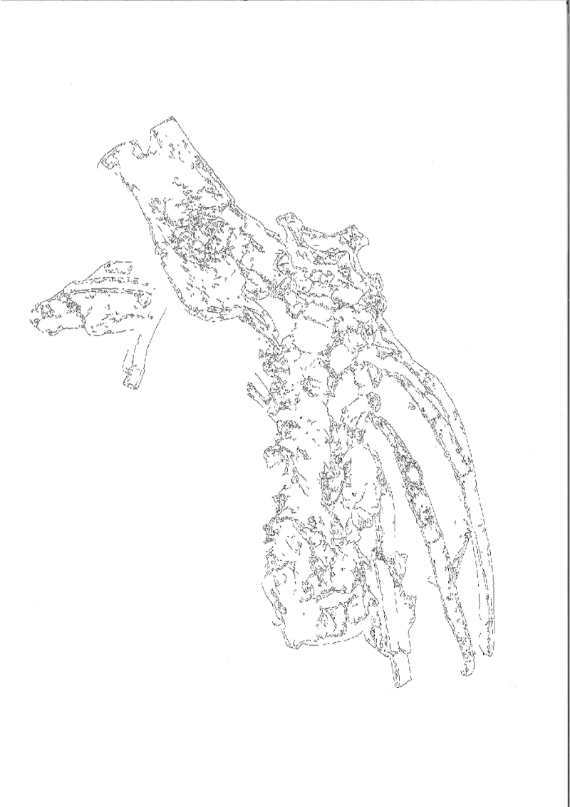 points selected for samples