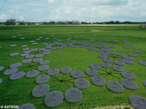 LOFAR - The Low Frequency Array for Radio astronomy